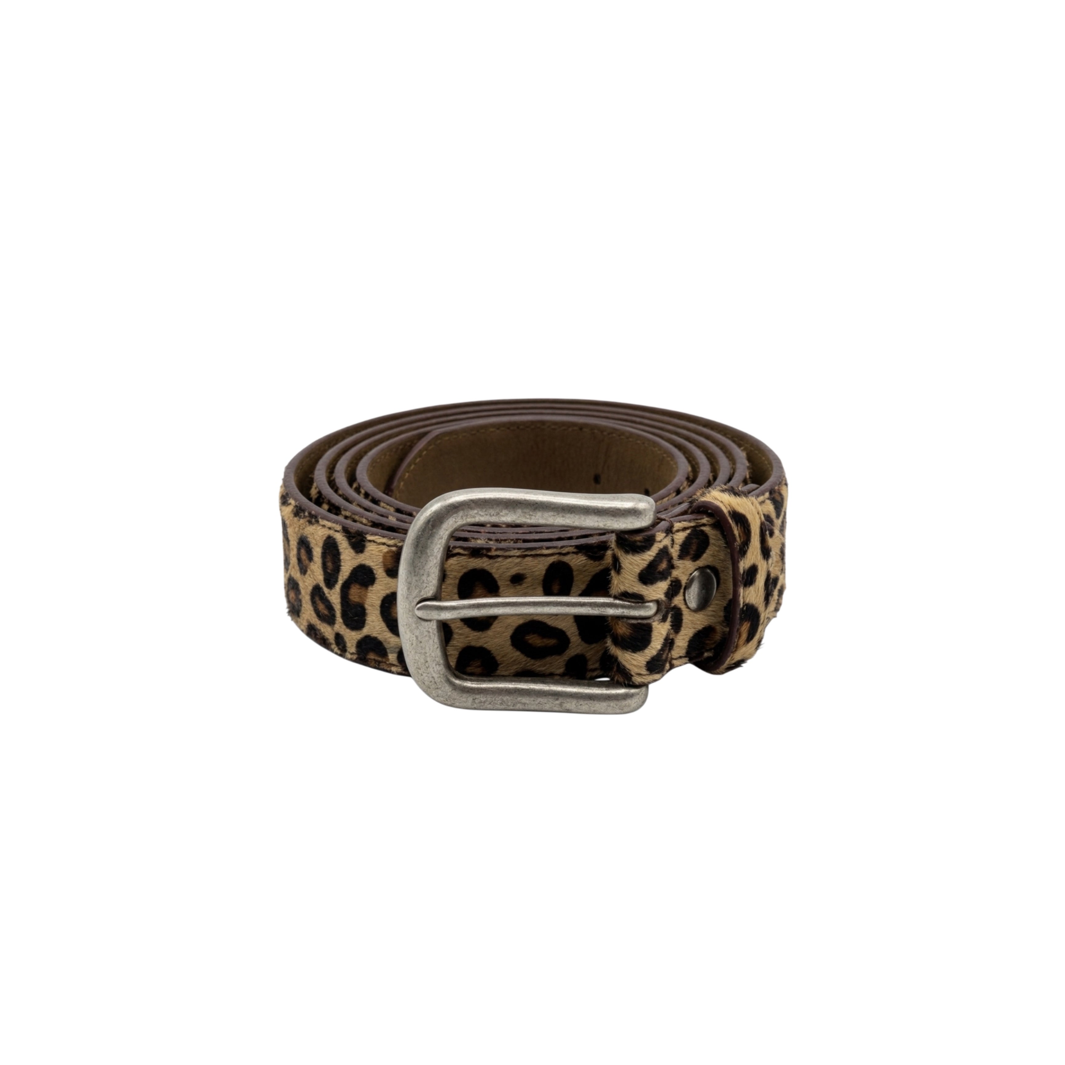 Brushed Léo Belt