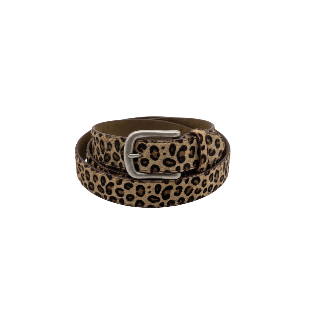 Brushed Léo Belt